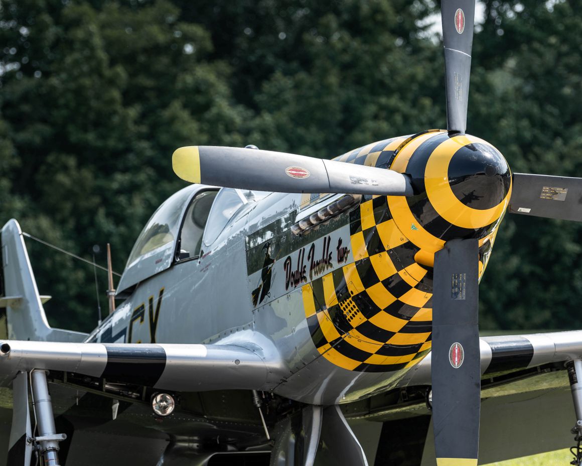 P-51D Mustang in Virginia Beach